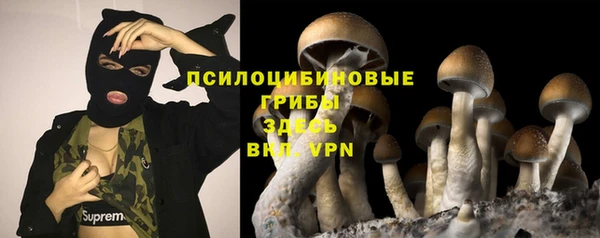 индика Абдулино