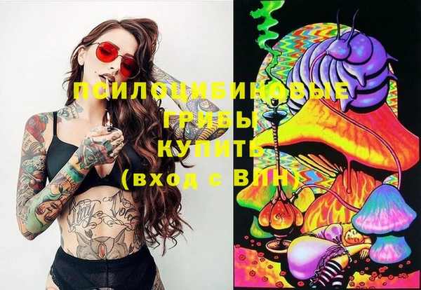 мет Абинск