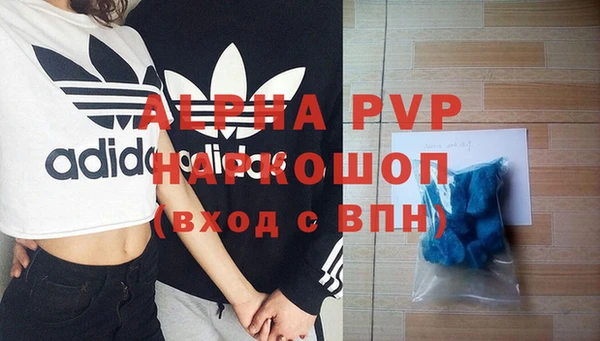 спиды Абаза