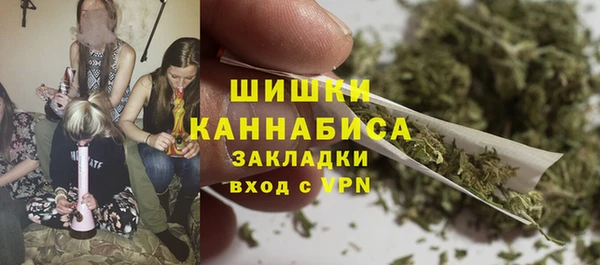 индика Абдулино