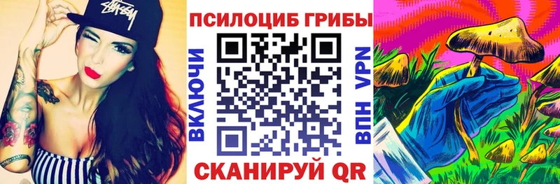 Псилоцибиновые грибы Cubensis как найти закладки гидра ссылки Белоусово